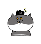 黒柴おもち（個別スタンプ：39）