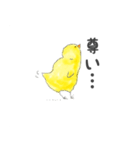 褒めるしかないとき用(トリ篇)（個別スタンプ：33）