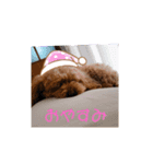 モフ日記（個別スタンプ：4）