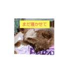 モフ日記（個別スタンプ：8）