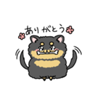 ブラックタンのポメラニアン。（個別スタンプ：5）