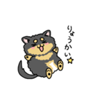 ブラックタンのポメラニアン。（個別スタンプ：11）