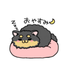 ブラックタンのポメラニアン。（個別スタンプ：16）