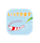 レッドビーシュリンプな日々（個別スタンプ：13）