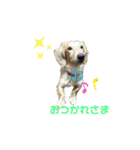 チョビくんスタンプ5（個別スタンプ：4）
