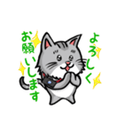 カメラマン猫（個別スタンプ：2）