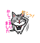 カメラマン猫（個別スタンプ：4）