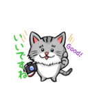 カメラマン猫（個別スタンプ：5）