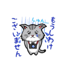 カメラマン猫（個別スタンプ：6）