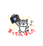 カメラマン猫（個別スタンプ：8）
