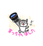 カメラマン猫（個別スタンプ：9）