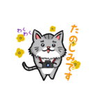 カメラマン猫（個別スタンプ：12）