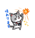 カメラマン猫（個別スタンプ：13）