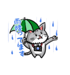 カメラマン猫（個別スタンプ：14）