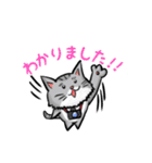 カメラマン猫（個別スタンプ：15）