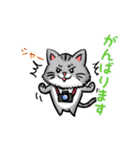 カメラマン猫（個別スタンプ：16）