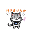 カメラマン猫（個別スタンプ：18）