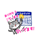 カメラマン猫（個別スタンプ：20）