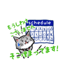 カメラマン猫（個別スタンプ：21）