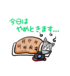 カメラマン猫（個別スタンプ：22）