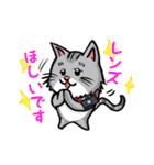 カメラマン猫（個別スタンプ：23）