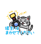 カメラマン猫（個別スタンプ：24）