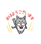 カメラマン猫（個別スタンプ：26）