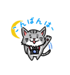 カメラマン猫（個別スタンプ：28）