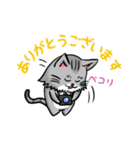 カメラマン猫（個別スタンプ：29）