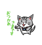 カメラマン猫（個別スタンプ：30）