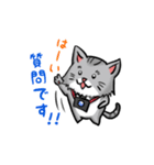 カメラマン猫（個別スタンプ：31）
