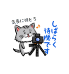 カメラマン猫（個別スタンプ：32）