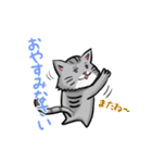 カメラマン猫（個別スタンプ：33）