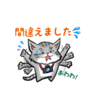 カメラマン猫（個別スタンプ：40）