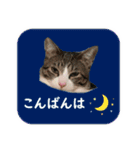 数奇なき人生を送るムーの日常 基本挨拶編（個別スタンプ：3）