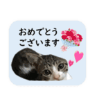 数奇なき人生を送るムーの日常 基本挨拶編（個別スタンプ：23）