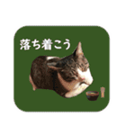 数奇なき人生を送るムーの日常 基本挨拶編（個別スタンプ：28）