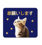 はんちゃん＆こっちゃん仲良しスタンプ（個別スタンプ：18）