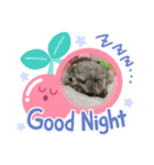 ひめぷー（個別スタンプ：1）