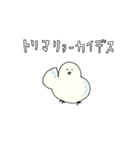 とりあえずな鳥（個別スタンプ：5）