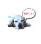 ろんちゃんず.3（個別スタンプ：3）