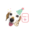 ろんちゃんず.3（個別スタンプ：11）