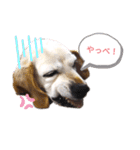 ろんちゃんず.3（個別スタンプ：13）