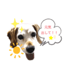 ろんちゃんず.3（個別スタンプ：15）