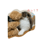 うさぎのちょこたん（個別スタンプ：2）