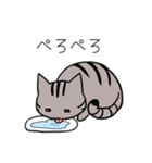 あめにゃ（個別スタンプ：5）
