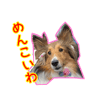 北の国のこうめさん（北海道弁）（個別スタンプ：2）