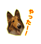 北の国のこうめさん（北海道弁）（個別スタンプ：4）