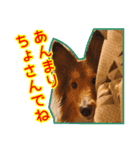 北の国のこうめさん（北海道弁）（個別スタンプ：6）