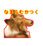 北の国のこうめさん（北海道弁）（個別スタンプ：8）